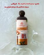 🎁شامپو سر ترمیم کننده و تثبیت رنگ آرگان ‌🎁 - Image 2